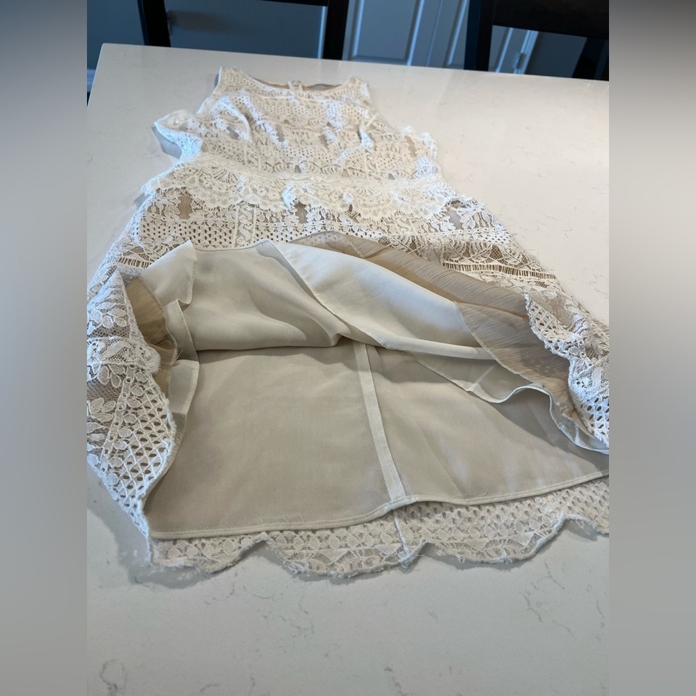 All Saints Melia Lace Dress size 6 - Picture 13 of 16
